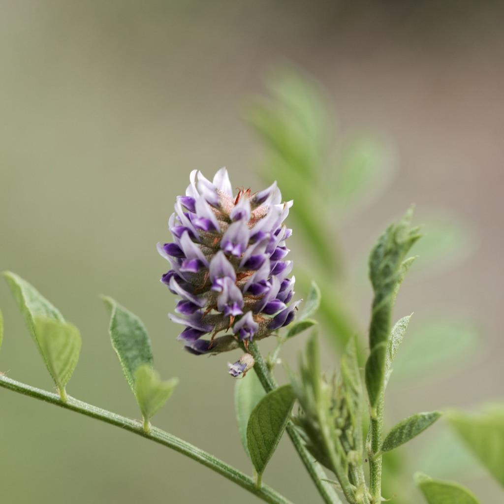Z 016_016.jpg