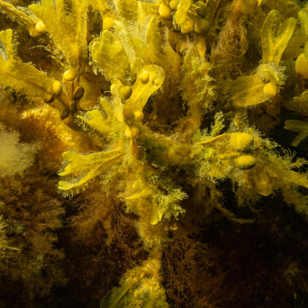 Z 091_091.jpg