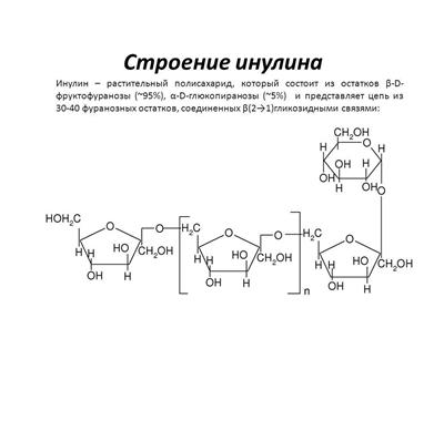 Z 506_инулин.jpg