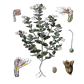 Z 660_z 660.png